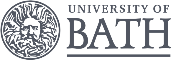 Novica Petrović university